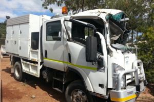 2010 Isuzu NPS